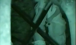 يظهر افلام اجنبية جنسية نموذج جسدها على الكاميرا.
