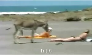 خذها إلى الحديقة ووضع فمه على الكاميرا. سكي اجنبيه